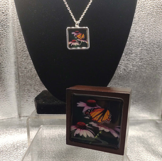 Monarch Butterfly Set