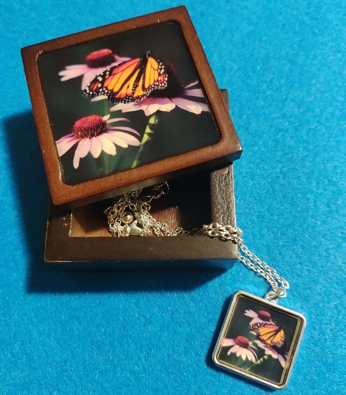Monarch Butterfly Set